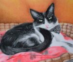 Decora tu habitación con un retrato de tu mascota  🐱🐶
