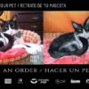 Decora tu habitación con un retrato de tu mascota  🐱🐶