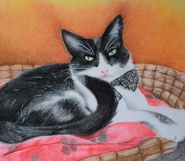 Decora tu habitación con un retrato de tu mascota  🐱🐶